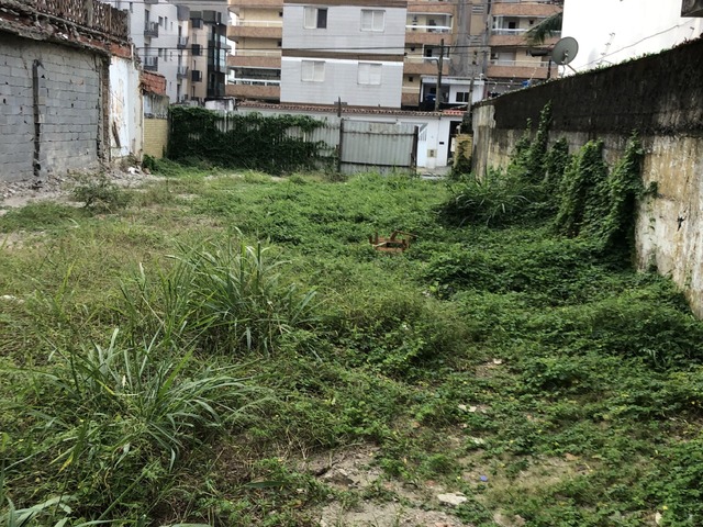 #7239 - Área para Venda em Praia Grande - SP - 1