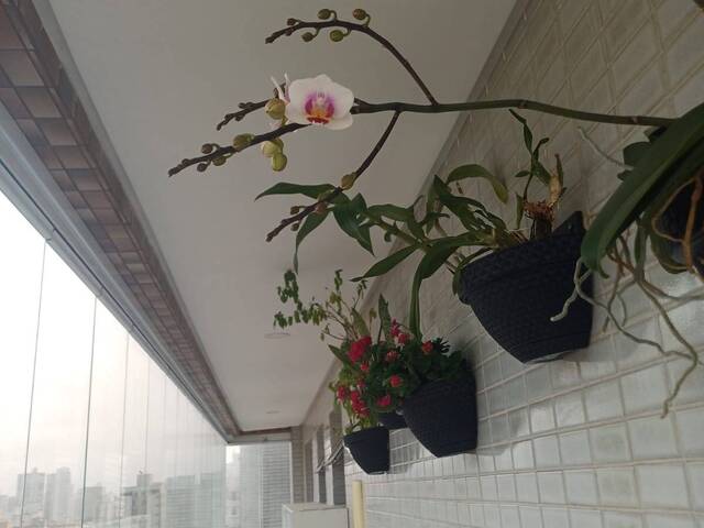 Apartamento para Venda em Praia Grande - 4
