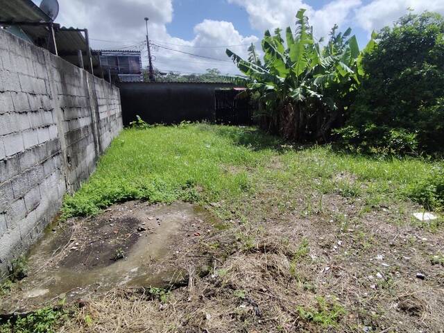 #7772 - Terreno para Locação em Praia Grande - SP - 1