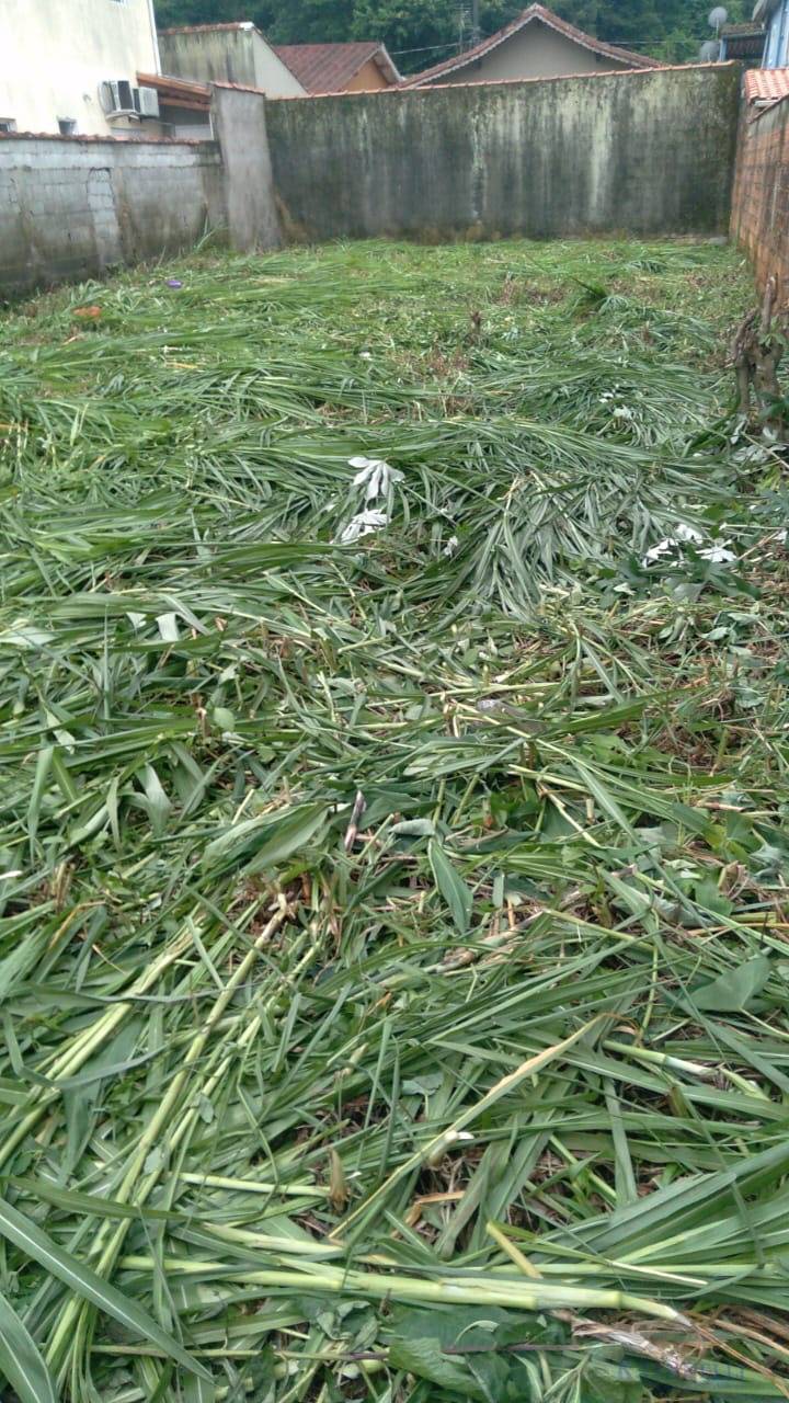 Terreno, 250 m² - Foto 1